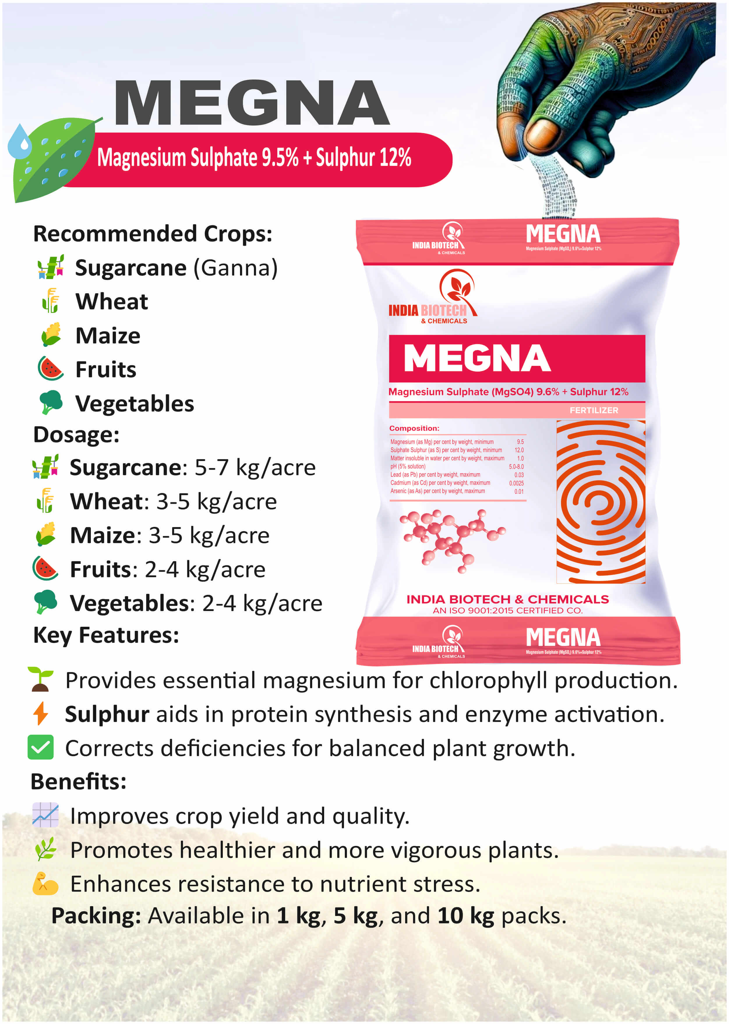 Megna